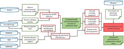 PHI-Nets: A Network Resource for Ascomycete Fungal Pathogens to Annotate and Identify Putative Virulence Interacting Proteins and siRNA Targets